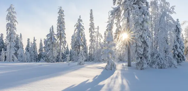 Prvé sneženie: okamih, ktorý vždy prebudí detské nadšenie