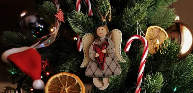 Vianočné stromčeky kedysi a dnes