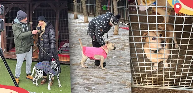 Príbehy, ktoré čakajú na domov